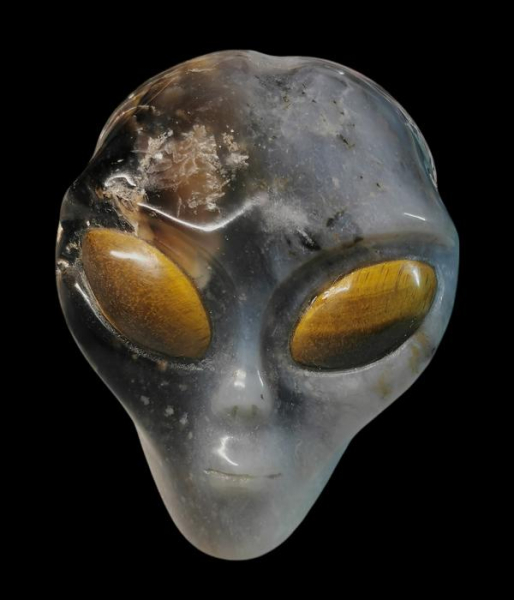 Alien Skull Black Agate